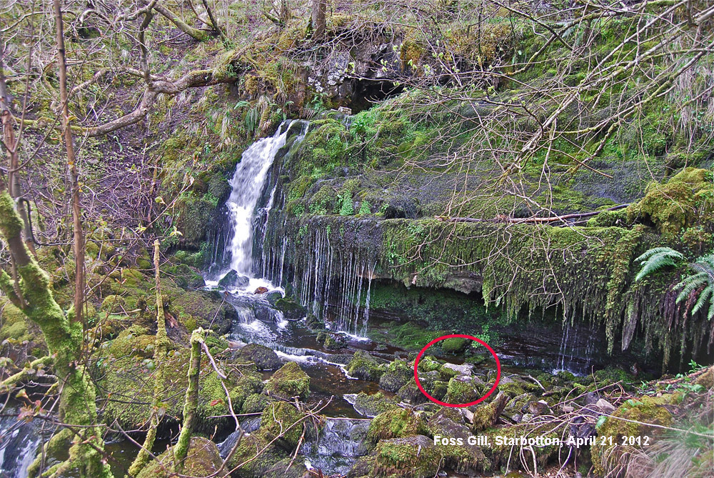 Fossgill resurgence on the PB